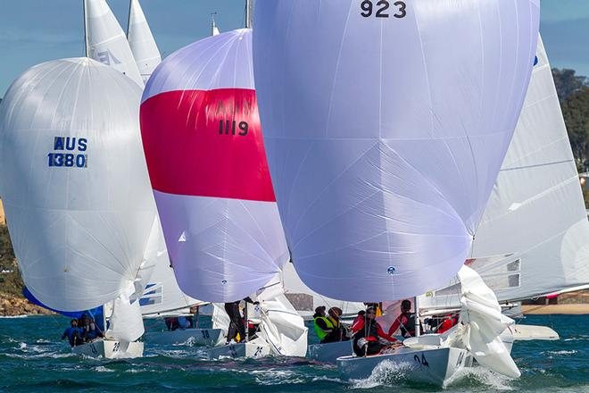 Superb talent all set to shine with even more still to enter the Line 7 2017 Etchells Australasian Championship © Teri Dodds